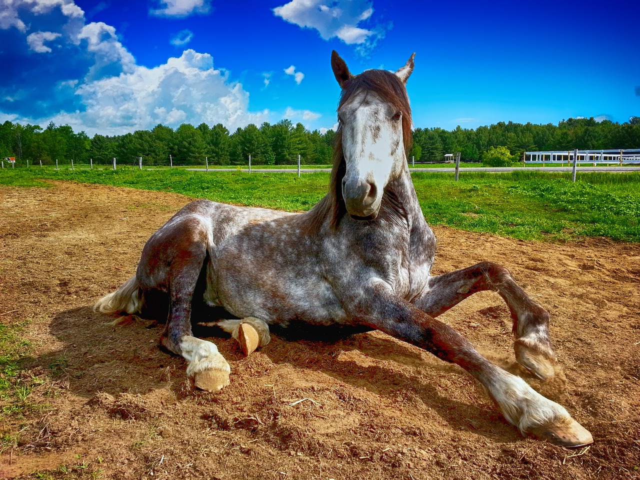 aménagement equestre